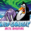Wild Gambler Arctic Adventure